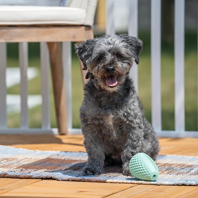 Chew King by Mammoth Dental Dog Toy Collection, Treater Clinically Proven to Remove Plaque