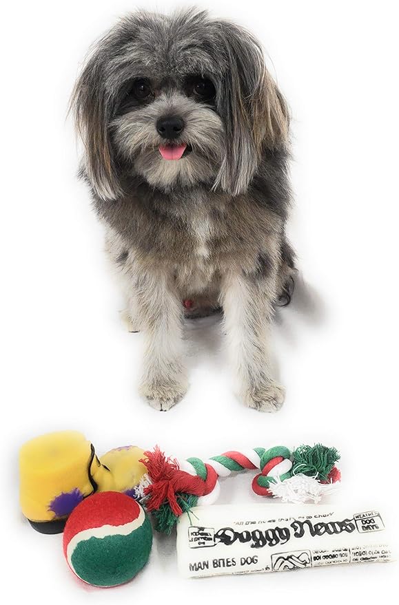 Christmas Dog Stocking Toys. Pack Assorted with Squeaker Inside of Newspaper Toy, Squeaky Boot, a red, Green & White Tennis Ball & red White & Green Knotted Rope Xmas Toy. Small Medium Large Breeds