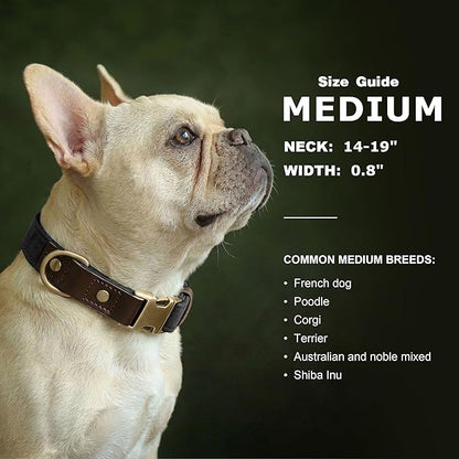 Didog Soft PU Leather Dog Collars for Medium Dogs,Classic Adjustable Dog Collars with Quick Release Metal Buckle,Easy Clean and Comfortable with Nylon Lining,Black,M Neck 14-19"