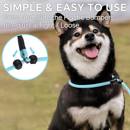 QQPETS Adjustable Slip Lead Dog Leash, Hands Free Waist Leash for Dog Walking, Reflective Training Lead with 360° Swivel Anti-Tangle, 4-7 ft Length for All Breeds