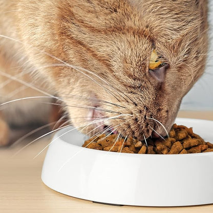 CatGuru Cat Bowls, Whisker Friendly Food Bowl for Indoor Cats, Reliefs Whisker Fatigue, Wide Kitten Dish, Non Slip Pet Dishes, Shallow Pet Plates (Marshmallow, (Pack of 2))