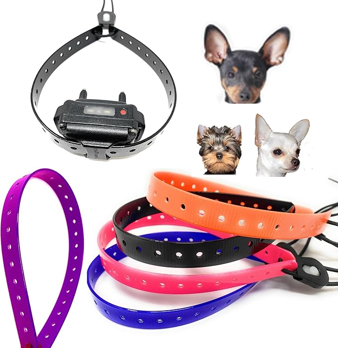 Replacement GPS eCollar with Adjustable Bungee, Multi-Hole Design, and Secure Toggle Closure for Small Dogs (Teal Blue, Small Neck)