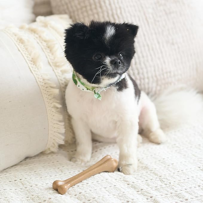 SPOT Bam-Bones Bone - Made with Strong Bamboo Fiber, Durable Long Lasting Dog Chew for Light to Moderate Chewers, Great Toy for Adult Dogs & Teething Puppies under 25lbs, 5.75in, Chicken Flavor