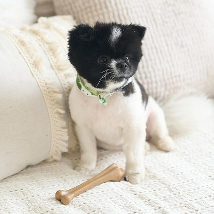 SPOT Bam-Bones Bone - Made with Strong Bamboo Fiber, Durable Long Lasting Dog Chew for Light to Moderate Chewers, Great Toy for Adult Dogs & Teething Puppies under 25lbs, 5.75in, Chicken Flavor