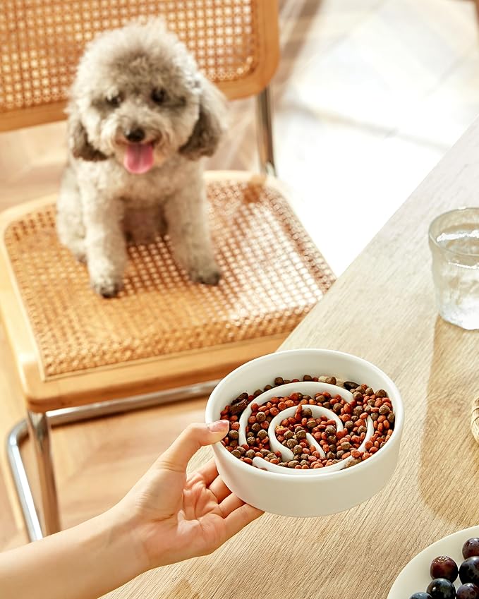Ceramic Slow Feeder Dog Bowls, 0.6 Cup Slow Feeder for Small Dogs, Puzzle Maze Bowl, Prevents Choking, 6in, White