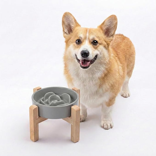 Petygooing Elevated Slow Feeder Ceramic Dog Bowls 8.26in, Slow Feeder Elevated Bowl for Small&Medium, Ceramic Slow Feeder Heavy Weighted Non-Toxic Non-Slip Puzzle Maze (Gray, 8.26in)