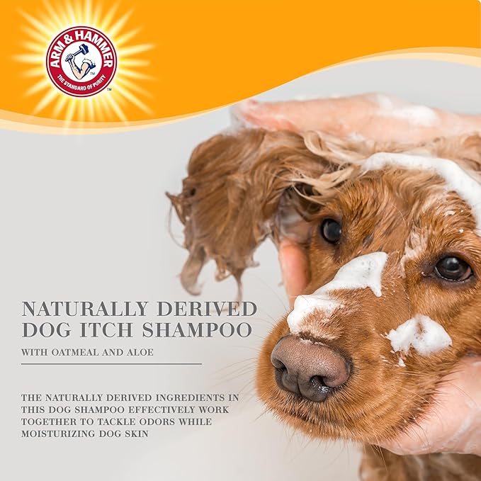 Arm & Hammer Ultra Fresh Oatmeal Dog Shampoo with Aloe for Itch Relief and Odor Control, Baking Soda Deodorizing Pet Shampoo for Dry Itchy Skin, Pump Bottle Dog Wash, White Tea & Sage Scent, 24 Fl Oz