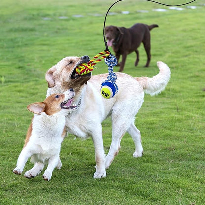Flirt Pole for Dogs, Interactive Toys Tug-of-war for Dogs, Four-Section Retractable Adjustable Length, Chase Toys with Rope Chewing Sticks, for Outdoor Exercise & Training