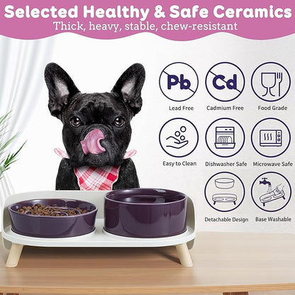 Elevated Slow Feeder Dog Bowls - Ceramic Food and Water Bowl Set with Stand - Raised Pet Dishes for Small and Medium Sized Dogs