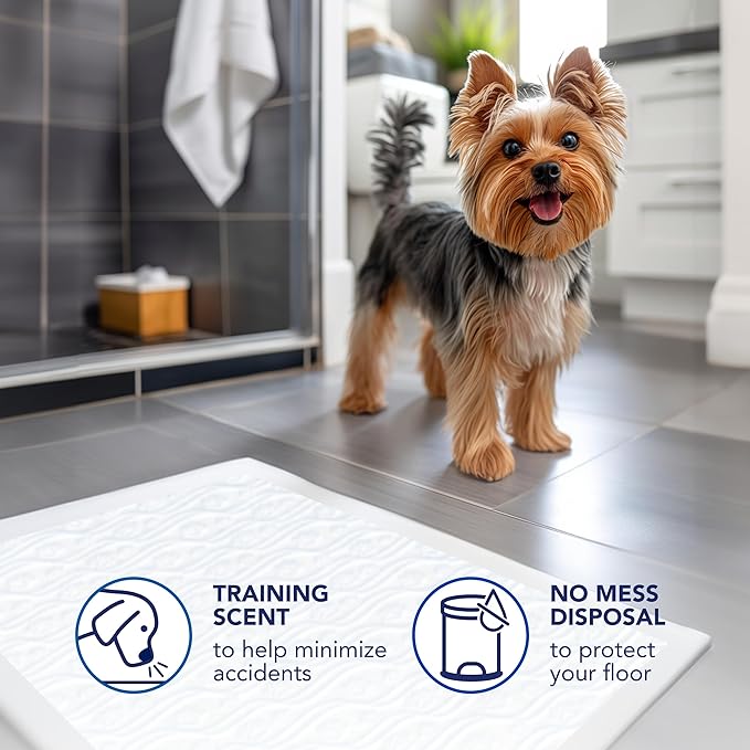Scott Pet Guard Dog Pads - Size Large - 22" x 22" - 50 Pack of Pet Pads