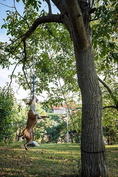 YES4QUALITY Flirt Pole for Dogs, 2 Durable Spring Poles with Strong Dog Rope Toy, Heavy Duty Lure Pole for Dogs of Any Size, Dog Toy for Fun Obedience Training & Exercise, Pull & Tug of War Toy