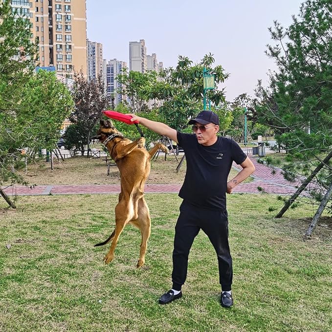 Clysrou Dog Tug Toy Tough Jute Bite Pillow Lasting Training Equipment Puppy to Large Dogs Interactive