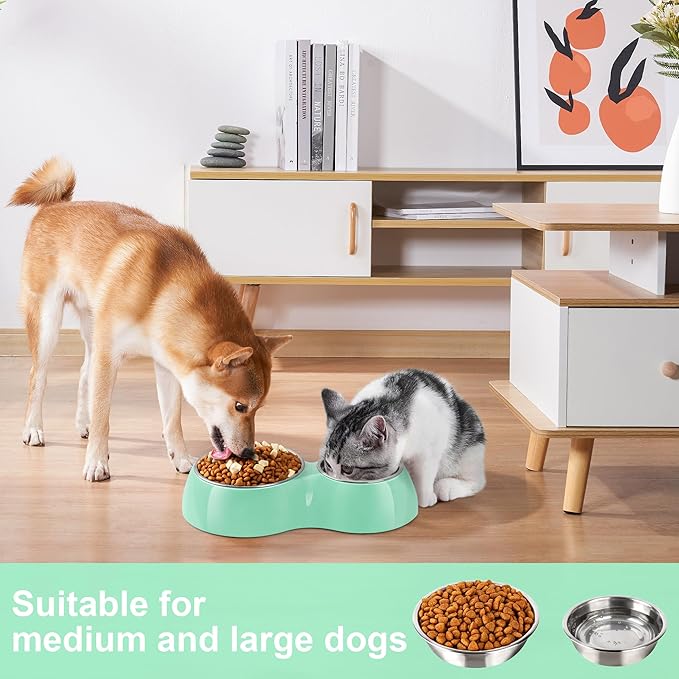 Elevated Dog Bowls Set - Non-Slip Raised Pet Feeder with Medium (2 Cups) & Large (4 Cups) Stainless Steel Bowls - Includes Durable Resin Stand for Corgi Puppies and Adult Cats - Green
