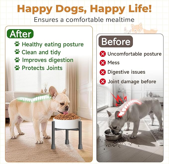 Single Elevated Dog Bowl Stand for Small Medium Breed, Adjustable Width 6-10in, 10in Tall Non-Slip Metal Raised Puppy Food Feeder Water Holder, Fits Various Size Ceramic Stainless Steel Pet Bowl