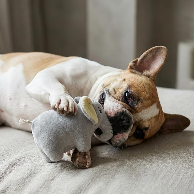 Dog Toys | Plush Toy Elephant Stuffed Animal for Dogs | Small Eco Friendly Toy - Easy to Clean and Made from Non Toxic Materials
