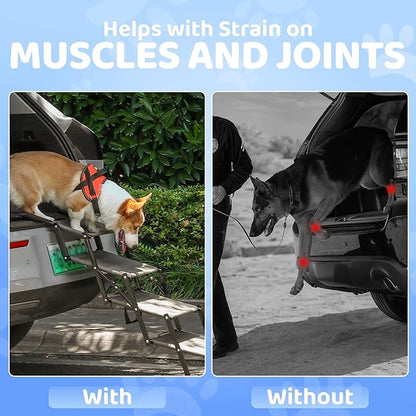 Dog Car Stairs – Portable Non-Slip Pet Stairs for High Cars, SUVs & Trucks, Foldable Design, 200 lb Support | EOSET