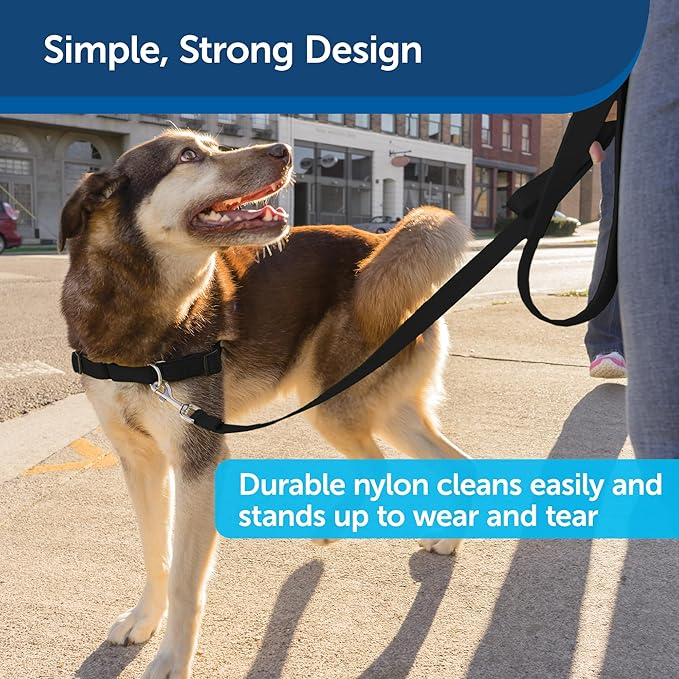 PetSafe Nylon Dog Leash – Strong, Durable, Traditional Style Leash with Easy to Use Bolt Snap for Small, Medium and Large Dogs – 1" x 6', Black