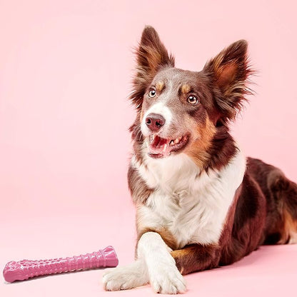 Nylabone Power Chew Breast Cancer Awareness Femur Bone Chew Toy for Dogs, Indestructible Dog Toys for Aggressive Chewers, Chicken Flavor, X-Large/Souper (1 Count) (Pack of 2)
