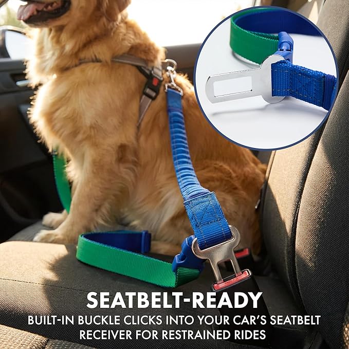 Spark Paws Handsfree Dog Leash – Shock Absorbing Waist Bungee Lead with 2 Padded Handles, Car Seatbelt Clip & Poop Bag Set, Heavy Duty Tactical Lead for Medium, Large & X-Large Breeds - Lime Wave