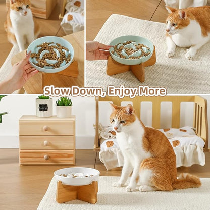 Elevated Slow Feeder Cat Bowl - Melamine Cat Food Plate with Anti-Slip Bamboo Stand - Whisker Friendly Feeding Bowl - Raised Maze Dish for Slow Eating - Ivory White