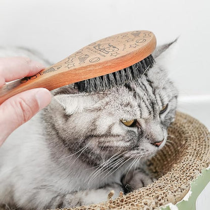 Pet Soft Brush with Wood Handle and Boar Bristle Hair - Soft Cat and Dog Grooming Brush for Short Hair Cats and Small Dogs - Gentle Massage and Dandruff Removal (Cat)