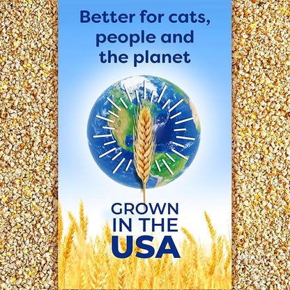sWheat Scoop Natural Wheat & Corn Cat Litter, Easy Maintenance, Absorbs on Contact with Plant-Based Odor Control, 28 Pound Bag