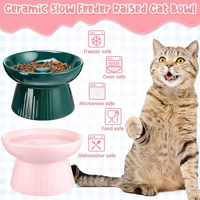 Tioncy 2 Pcs Raised Cat Slow Feeder Bowl Ceramic Elevated Cat Dog Food Bowl No Spill High Edge for Dry Wet Food and Water Easy to Clean, Dishwasher Safe (Pink,Dark Green)