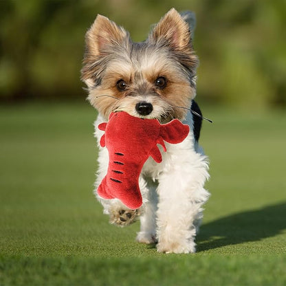 Squeaky Dog Toys to Keep Them Busy Squeaky Dog Toys with Soft Fabric, for Small Dogs for Daily Interaction, Companion Training 1Pcs (Lobster)
