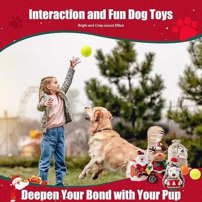Christmas Dog Toy Set, 5 Pack Plush & Balls with Gift Bag – Reindeer, Santa, Hedgehog & Tennis Balls, Squeaky Durable Toys for Small Medium Dogs, Holiday Pet Gift Bundle
