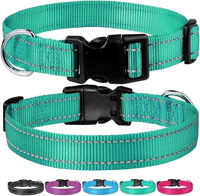 Reflective Dog Collar with Buckle Adjustable Safety Nylon Collars for Small Medium Large Dogs, Teal XS