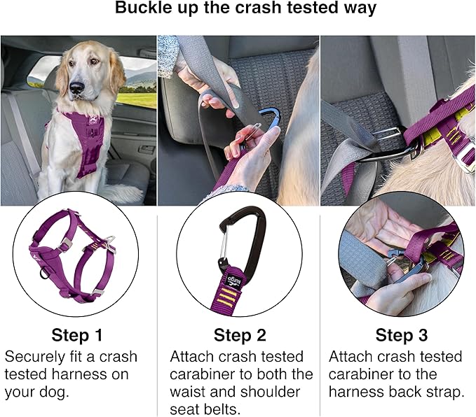 Kurgo Enhanced Strength Tru-Fit Dog Car Harness - Pet Travel Safety Harness - Crash Test Certified Fit - Five Point Adjustment - Secure Buckle - Padded Chest - Deep Violet - Small