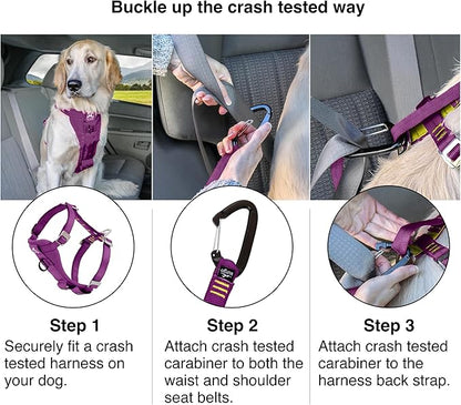 Kurgo Enhanced Strength Tru-Fit Dog Car Harness - Pet Travel Safety Harness - Crash Test Certified Fit - Five Point Adjustment - Secure Buckle - Padded Chest - Deep Violet - Small