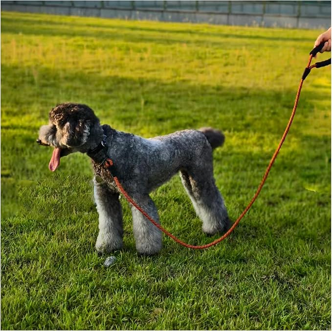 MayPaw Heavy Duty Rope Dog Leash, 6FT Nylon Pet Leash, Soft Padded Handle Thick Lead Leashes for Large Medium Dogs Walking Training (Orange Black line, 1/2" * 6')