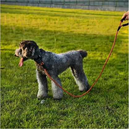 MayPaw Heavy Duty Rope Dog Leash, 6FT Nylon Pet Leash, Soft Padded Handle Thick Lead Leashes for Large Medium Dogs Walking Training (Orange Black line, 1/2" * 6')