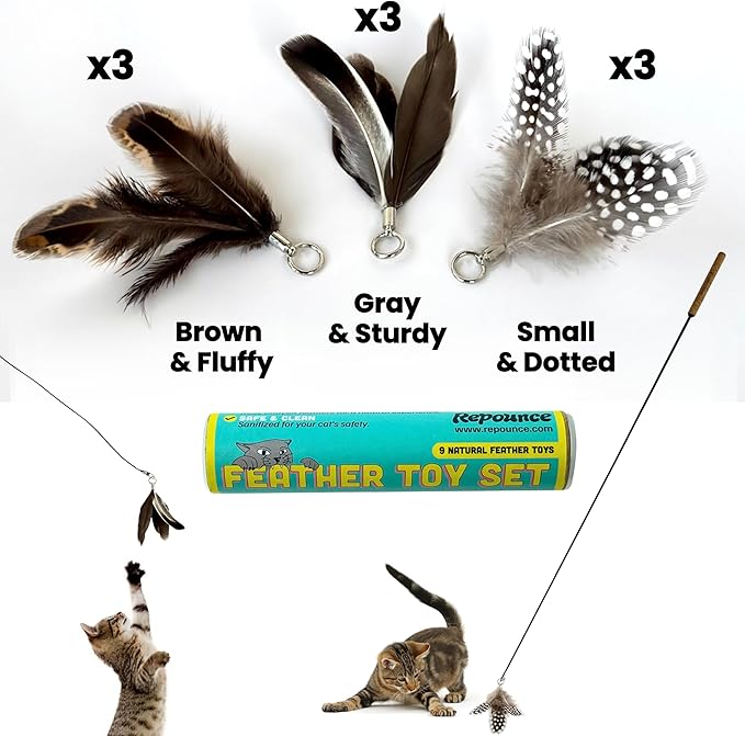 Forever Stick and 9 Cat Feather Toy Refills - The Unbreakable Cat Wand Toy, Durable Cat Toy Wand, Extra Long Cat String Toy, Cat Fishing Pole Toy for Bored Indoor Adult Cats, Cat Stick Toy