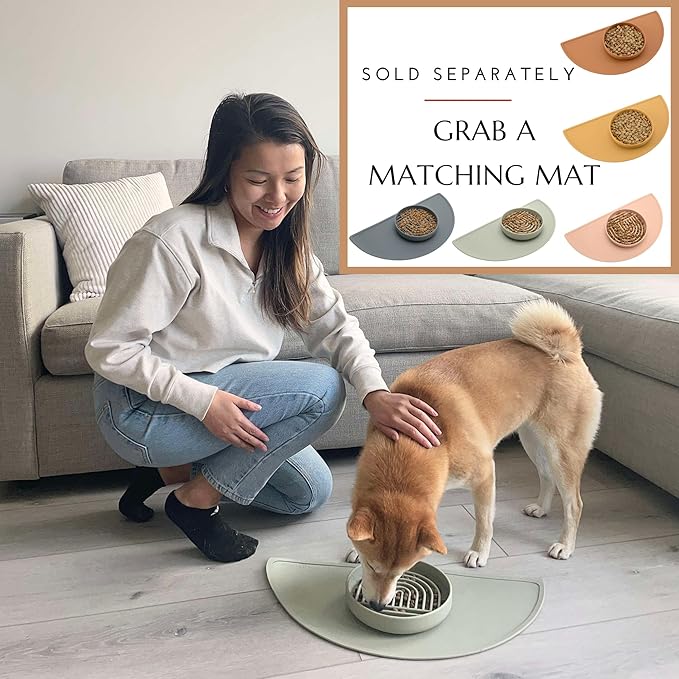 Should We Go? Slow Feeder for Dogs & Cats, The Slowdown Bowl Silicone Slow Eating Mealtime Solution with Modern Lick Mat Design, Reduces Gulping, Fits 1 Cup, 6” Across x 1.25” Tall, Small-Ocean