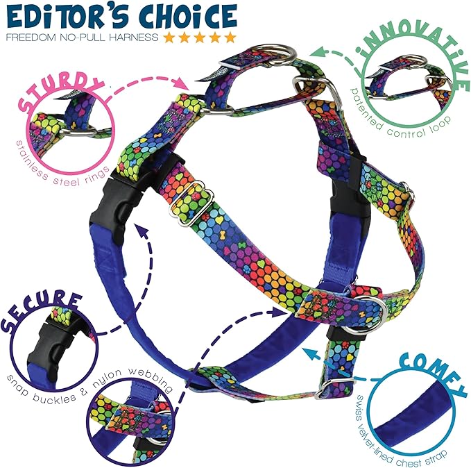 2 Hounds Design - Freedom No-Pull Harness & Training Leash in Blue and Rainbow | Dual Leash Loops, No Pulling on Walks | Lined to Prevent Chaffing | for Large Sized Dogs (Size L, Chest 28”- 32”)