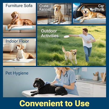 Extra Large Puppy Pads 28"x34",Super Absorbent Disposable Pee Pads for Dogs / Wee Wee Pads / Potty Training Pads, Incontinence Bed Underpads for Adults, 50 Count