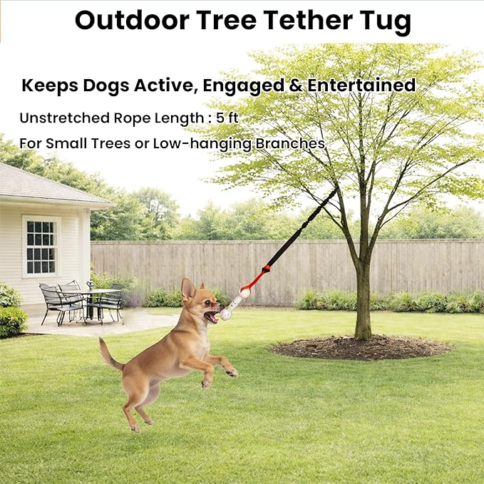 Hanging Dog Bungee Tug Toy for Puppy Small Dogs Chase, Indoor Spring Pole Over Door, Outdoor Tree Tether Tug, Interactive Pull Rope Toy for Self Play Exercise & Training