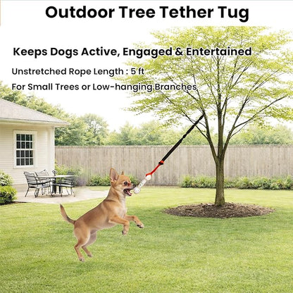 Hanging Dog Bungee Tug Toy for Puppy Small Dogs Chase, Indoor Spring Pole Over Door, Outdoor Tree Tether Tug, Interactive Pull Rope Toy for Self Play Exercise & Training