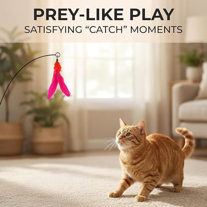 20 pcs Pack Cat Wand Feather Toy Refills with Bells , Natural Feather Replacement for Interactive Teaser Toys, Colorful Wand Attachments, Durable and Safe Cat Toy Accessories for Exercise and Play