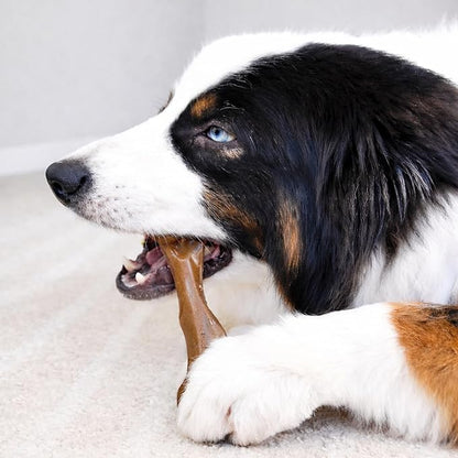 Nylabone Strong Chew Femur Bone Dog Toy Made with Real Bison & Venison, Durable Chew Toys for Aggressive Chewers, Long Lasting Dog Bone, Keeps Dogs Busy, Large Breeds - Up to 50 lbs