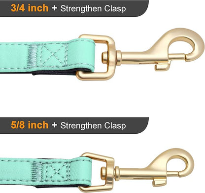 Didog 5FT Colorful Nylon Dog Leash with Soft Full-Length Padding, Lightweight and Durable Pet Leash for Medium and Large Dogs, Green, M