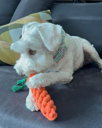 Durable Dog Chew Toys – 3 Carrot Dog Toy and Rope Chew Toys, Interactive Carrot Toy for Teething, Small and Medium Breeds, Tough Chew Toy for Training and Dental Health.