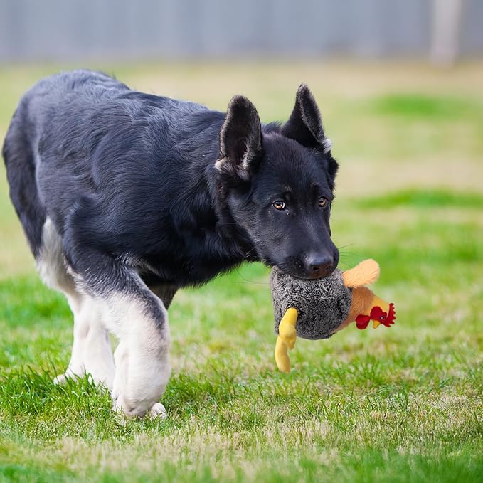 Squeaky Stuffed Dog Toys – Plush Chicken Chew Toy for Small, Medium & Large Dogs, Cute & Funny Interactive Puppy Toy with Crinkle Paper & Double Squeakers