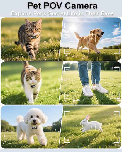 Cat & Dog Camera Collar with Phone APP, 1080P HD Video Recording Pet Camera Collar – Lightweight Pet POV Cam for Curious Cats & Adventurous Pups
