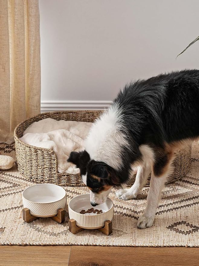 LE TAUCI PET Ceramic Dog Bowls for Medium Large Dogs - 5 Cup Large Dog Food and Water Bowls with Wood Stand, Cute Pet Dishes Set of 2, Lines+Dot
