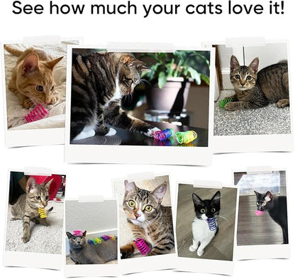 AGYM Cat Spring Toys 90 Packs for Indoor Cats, Durable Plastic Spring Coils Attract Cats to Swat, Bite, Hunt, Interactive Spring Toys for Kittens