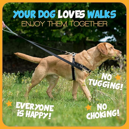 2 Hounds Design Freedom No Pull Dog Harness, Adjustable Harness and Leash Set, Easy Walking & Comfortable Control, Fits Small, Medium & Large Dogs, Solid Colors, Made in USA, 1" LG, Teal