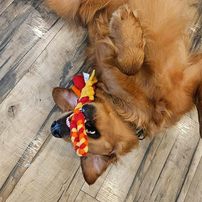Chelsy's Toys Interactive Tug Toy for Dogs and Puppies, Mental Stimulation Toy, Slow-Play, Brain Exercise for Puppies & Seniors, Freeze forTeething Relief, Blue, Orange, Purple (Orange)